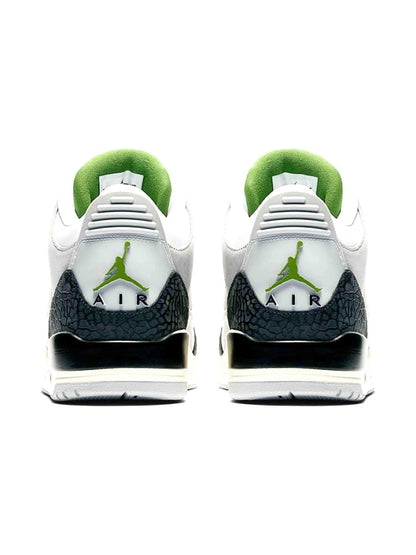 Air Jordan 3 Retro Chlorophyll Sneakers - Game Changer | Style MVP