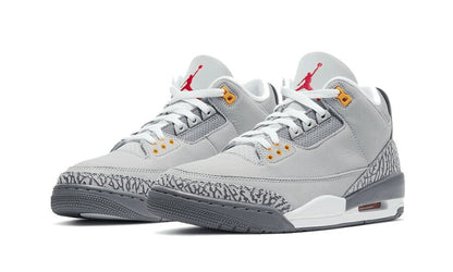 Jordan 3 Retro Cool Grey 2021 Sneakers - Authentic | Designer Kicks